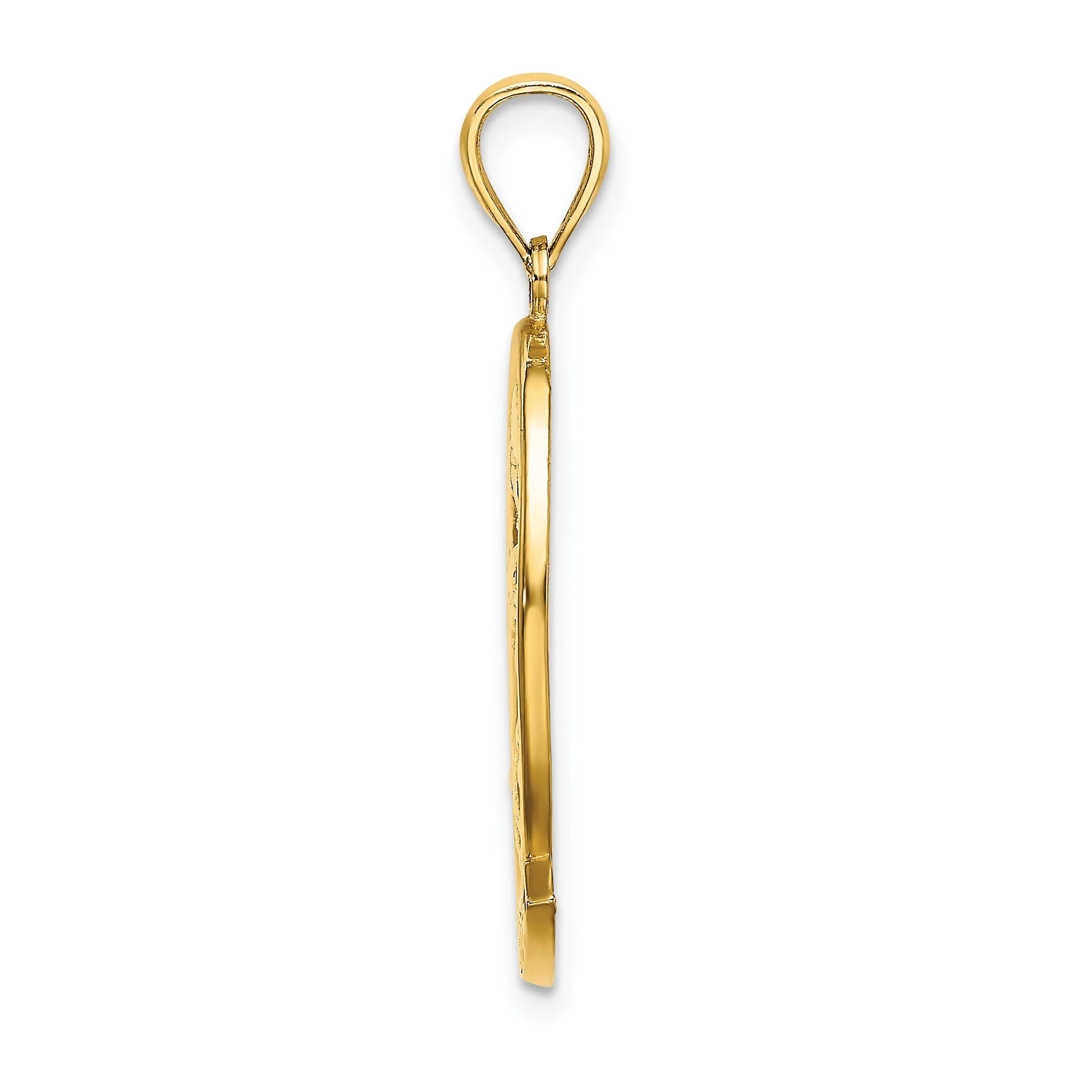 14K Yellow Gold Polished Finish Flat Back ARUBA With Dolphin Sunset Design In Oval Shape Frame Charm Pendant