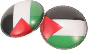 GALPADA 2pcs Flag Brooch Backpacks Pin Palestine Pin Badge Palestinian Flag Pin Men Suit Pin Brooch Aesthetic Clothes Brooch Decorative Brooch Pin Zinc Alloy Accessories Man Shawl